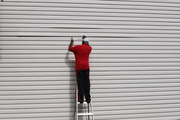 Best Vinyl Siding Installation  in West Haven, UT